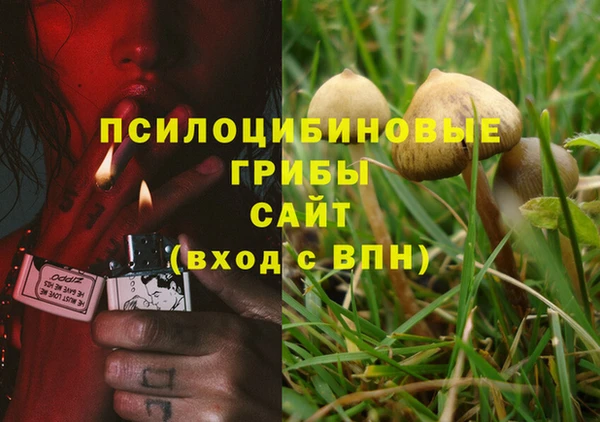 герыч Арсеньев