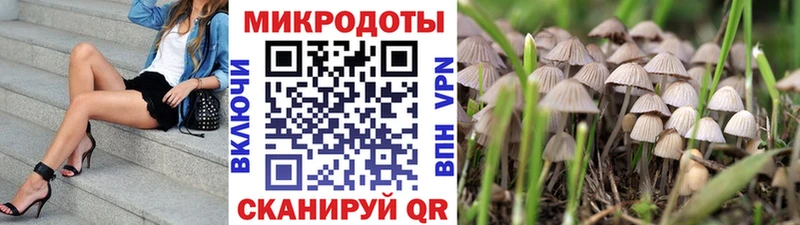 закладка omg как зайти Псилоцибиновые грибы мицелий Старая Купавна